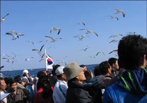 참가단 일행은 먼발치로 독도를 둘러보며 다음을 기약해야만 했다. 이들의 아쉬운 마음을 아는지 갈매기가 떼지어 와 위로하고 있다. 